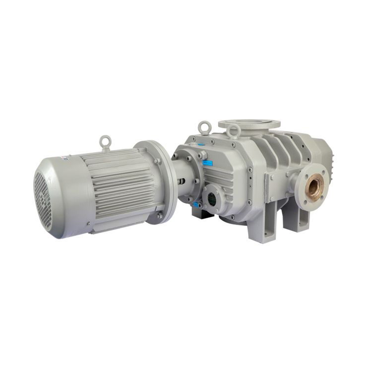 ETR-W4300E مضخة فراغ الجذور